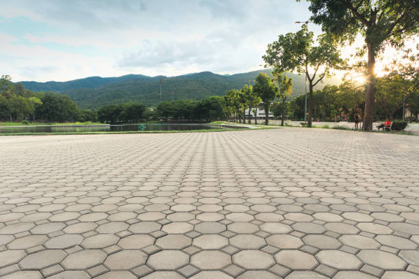 Best Interlocking Driveway Pavers  in Lamont, CA