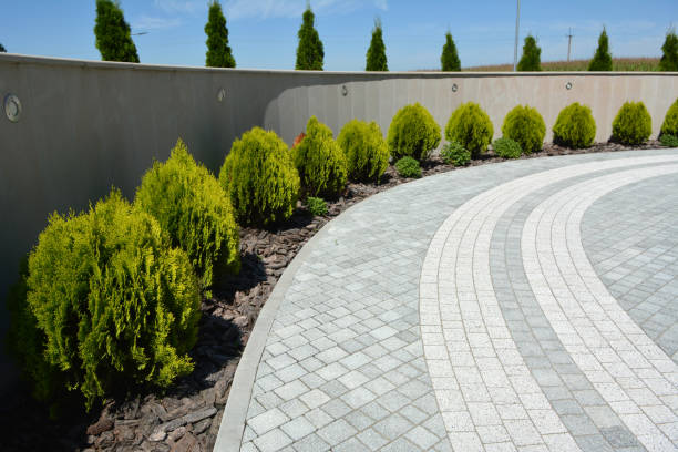 Best Concrete Paver Driveway  in Lamont, CA